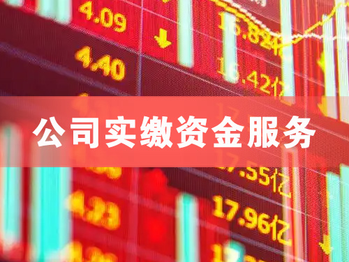 万源公司实缴资金服务