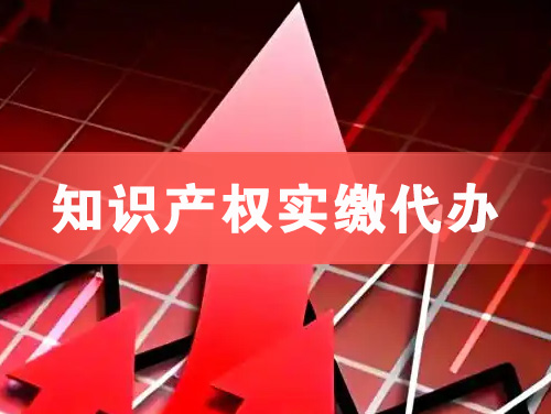万源知识产权实缴资本代办